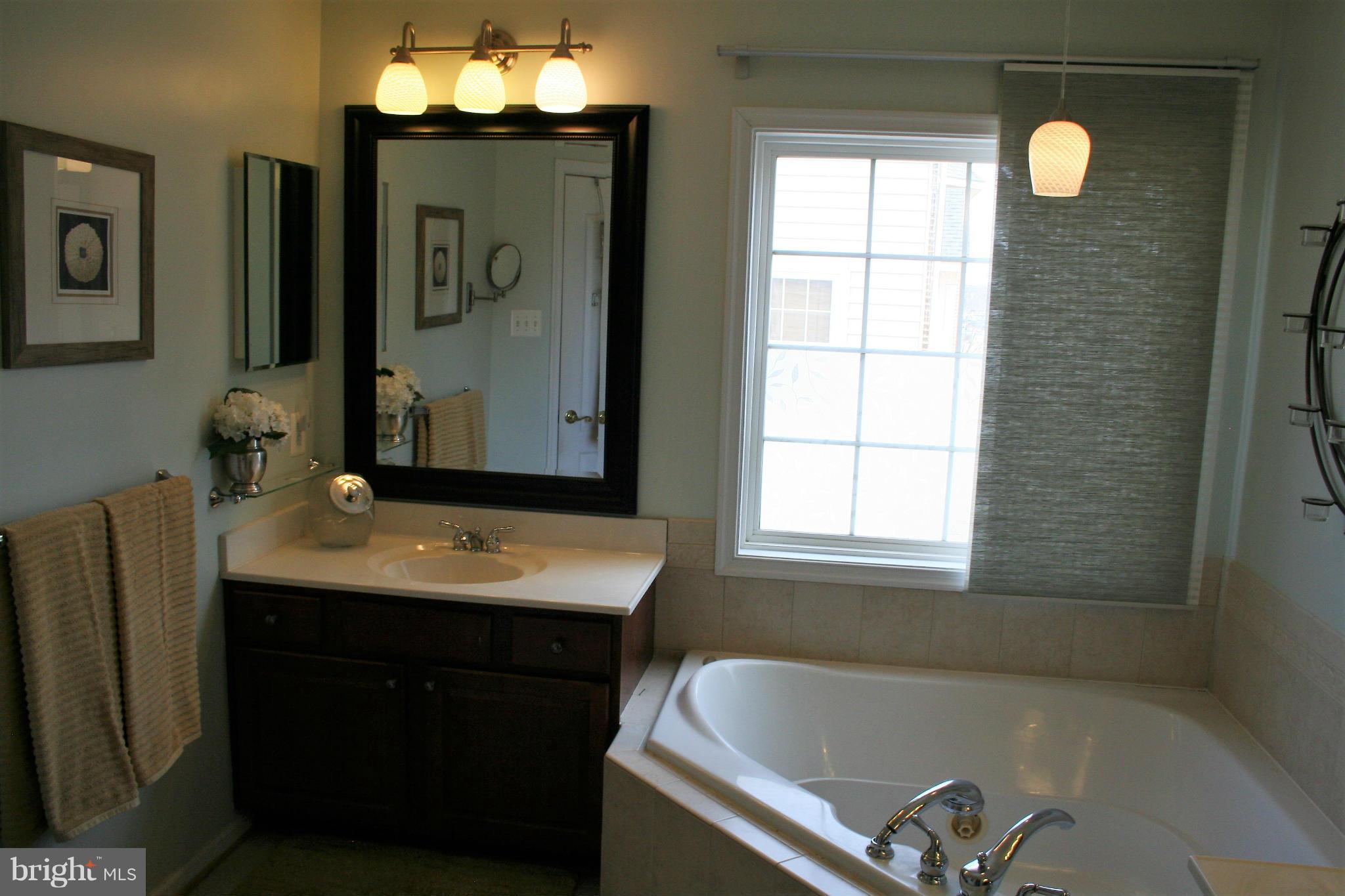 10238 Brighton Ridge Way, Unit 107 Columbia, MD 21044 - Photo 18 of 28 Separate Vanities