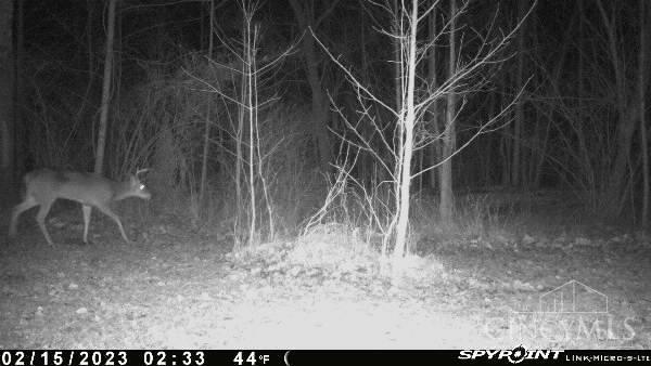 3366 Patterson Road Bethel, OH 45106 - Photo 48 of 49 Gallery Image 48