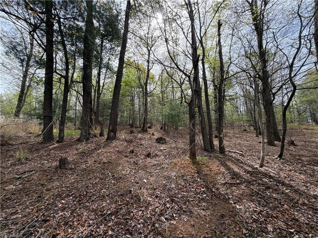 5636 Mertie Road Millers Creek, NC 28651 - Photo 22 of 38