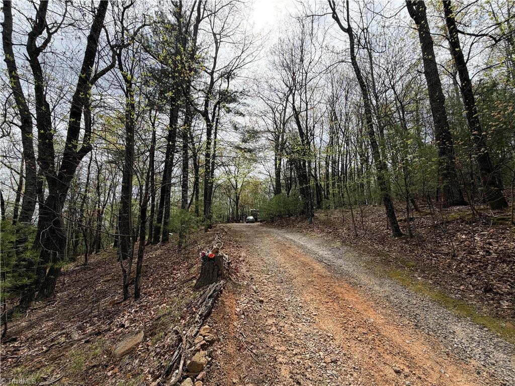 5636 Mertie Road Millers Creek, NC 28651 - Photo 30 of 38