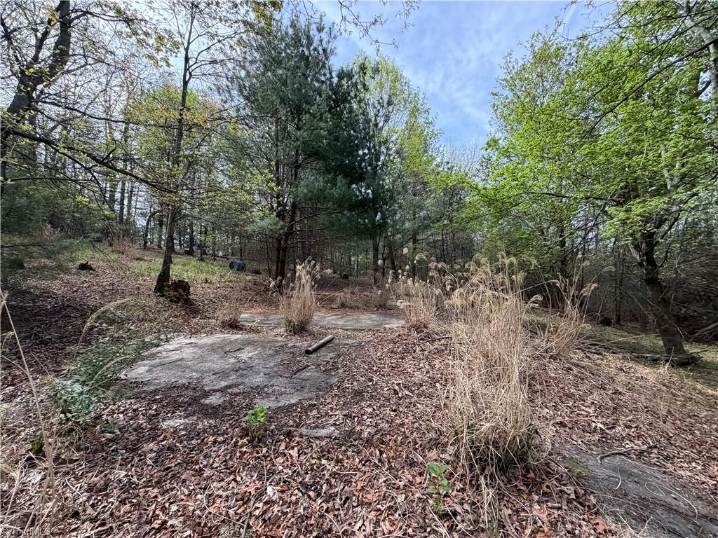 5636 Mertie Road Millers Creek, NC 28651 - Photo 33 of 38