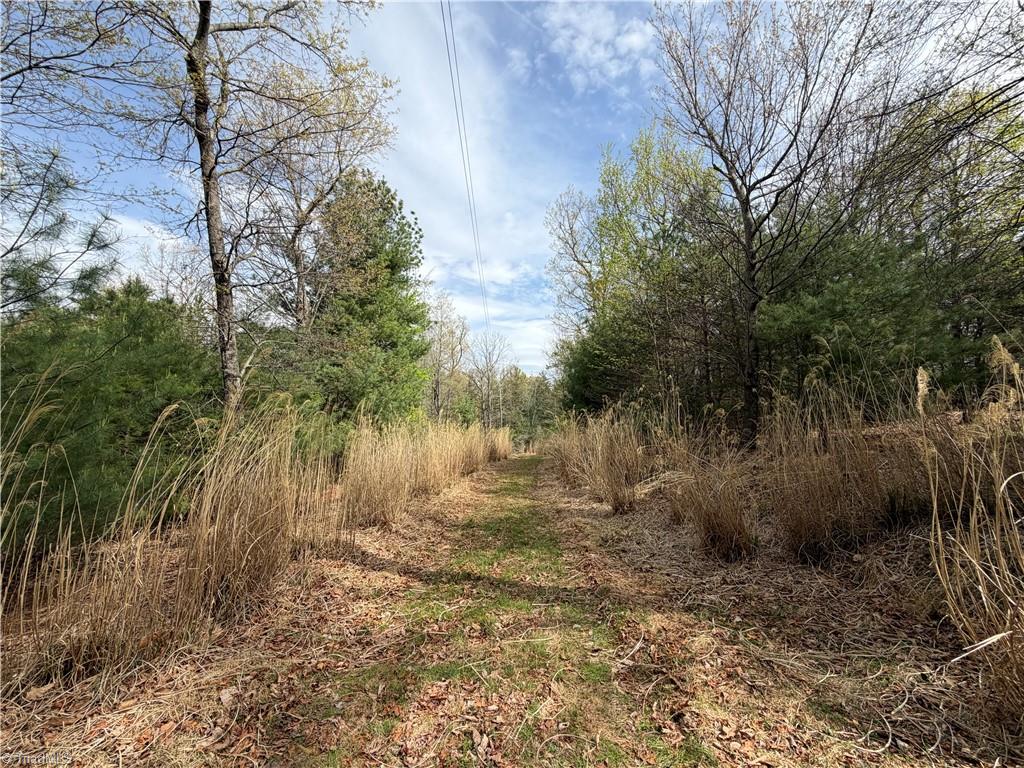 5636 Mertie Road Millers Creek, NC 28651 - Photo 34 of 38
