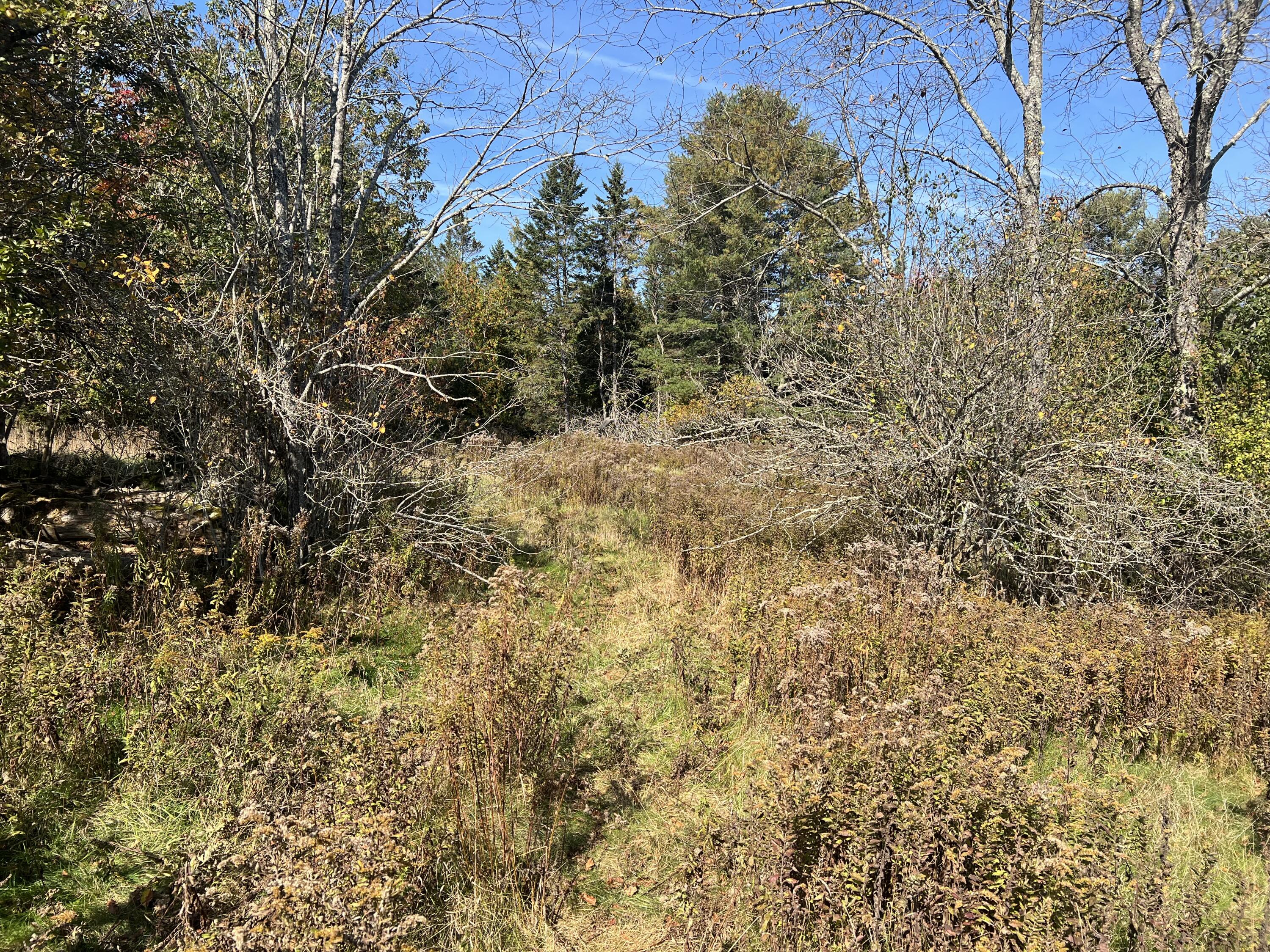 77 Cross Road Bucksport, ME 04416 - Photo 11 of 15 IMG_4133