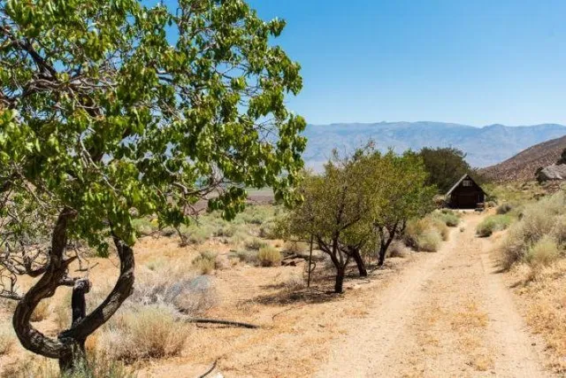 a view of a yard covered in snow