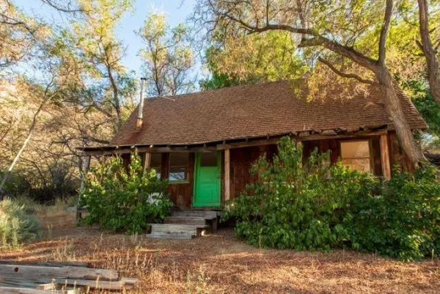 a view of a house with a tree and plants