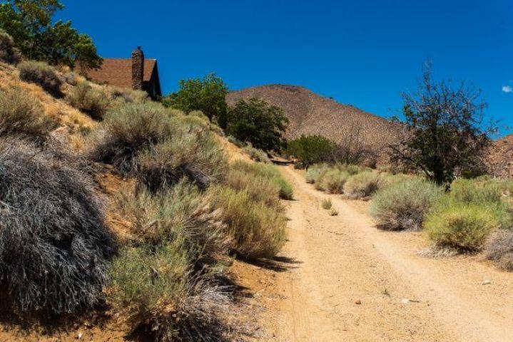57 Bir Road, Unit 1 Bishop, CA 93514 - Photo 27 of 35 a view of a dry yard with trees