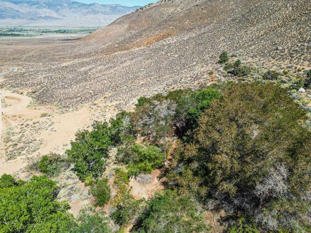 57 Bir Road, Unit 1 Bishop, CA 93514 - Photo 35 of 35 a view of a field with plants and trees