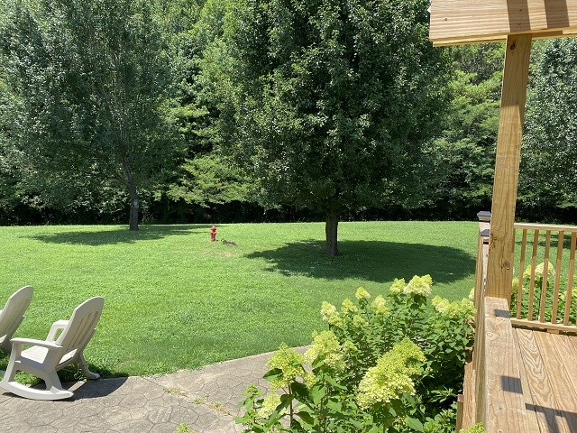 398 Azbill Road Lexington, TN 38351 - Photo 28 of 40 a view of a garden with plants