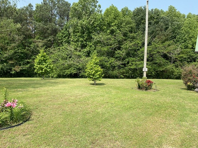 398 Azbill Road Lexington, TN 38351 - Photo 34 of 40 a view of a garden with basketball court