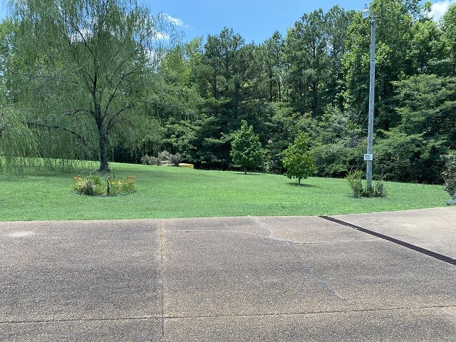 398 Azbill Road Lexington, TN 38351 - Photo 38 of 40 a view of a park with large trees