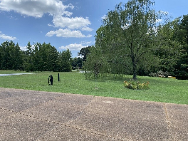398 Azbill Road Lexington, TN 38351 - Photo 39 of 40 a view of a park