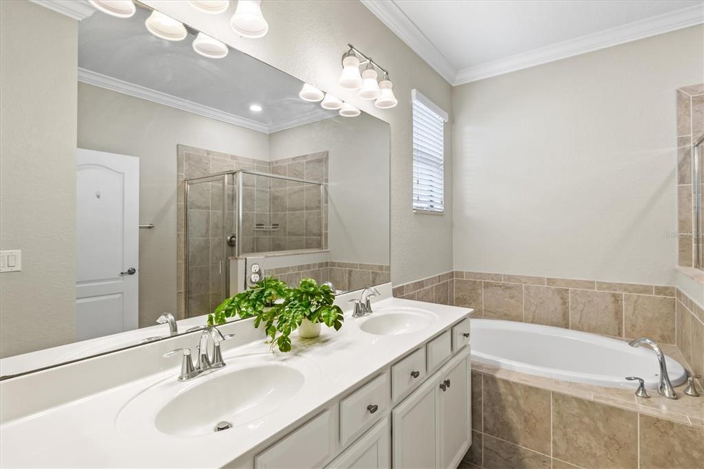 17030 Blue Ridge Place Bradenton, FL 34211 - Photo 24 of 65 a bathroom with a sink vanity granite tub shower and a mirror