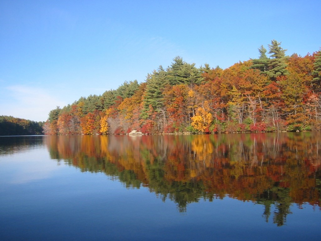 6 Dale Road Hopkinton, MA 01748 - Photo 39 of 39 a view of lake