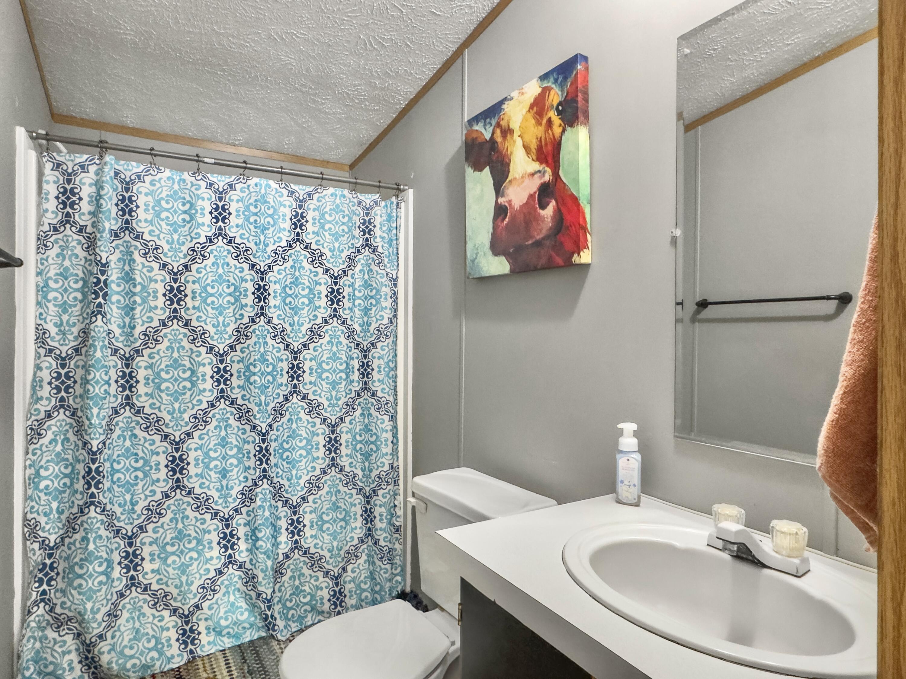 4160 Cleveland Street Elloree, SC 29047 - Photo 26 of 47 Bathroom 2