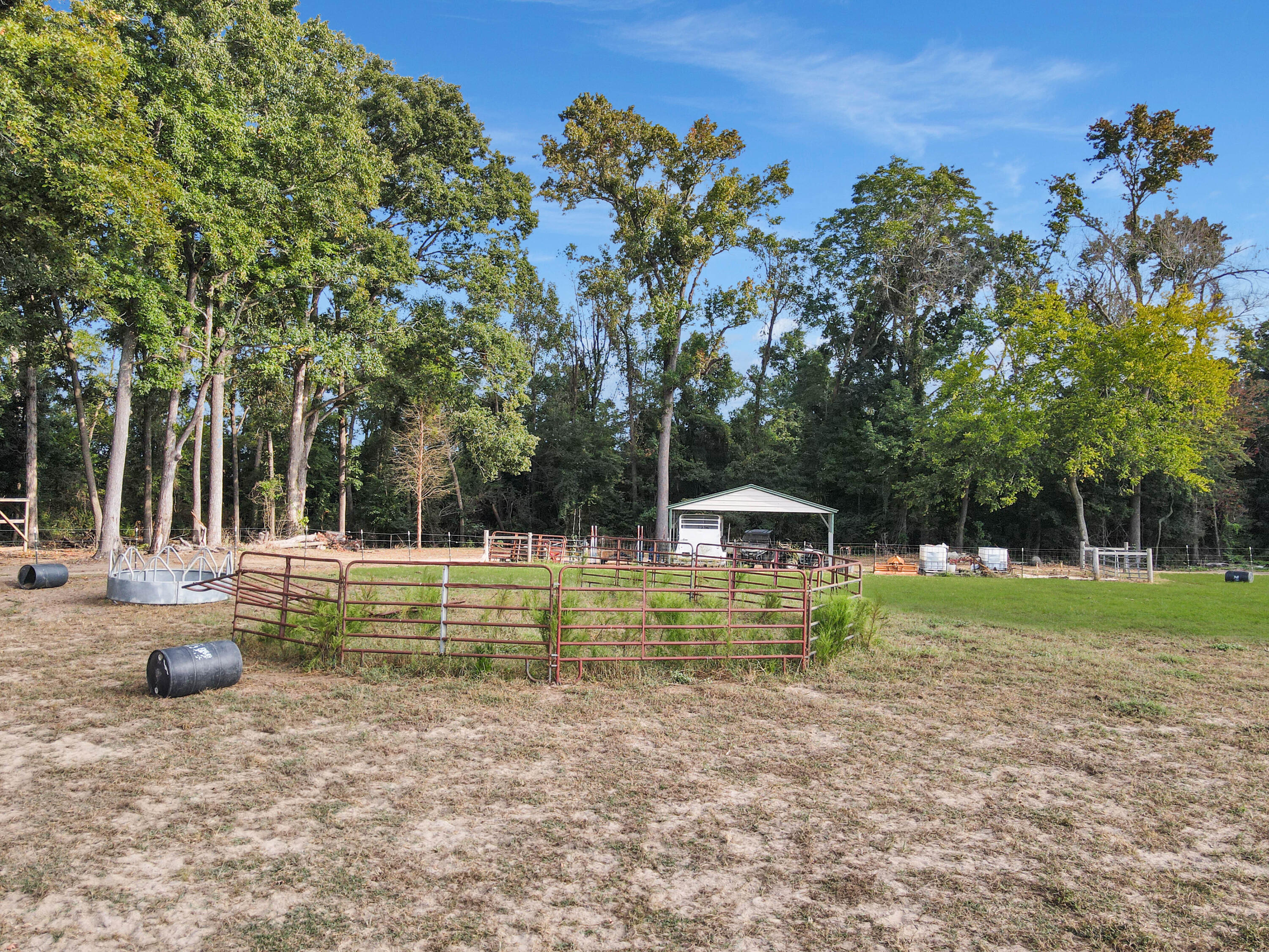 4160 Cleveland Street Elloree, SC 29047 - Photo 34 of 47 Seven Acres