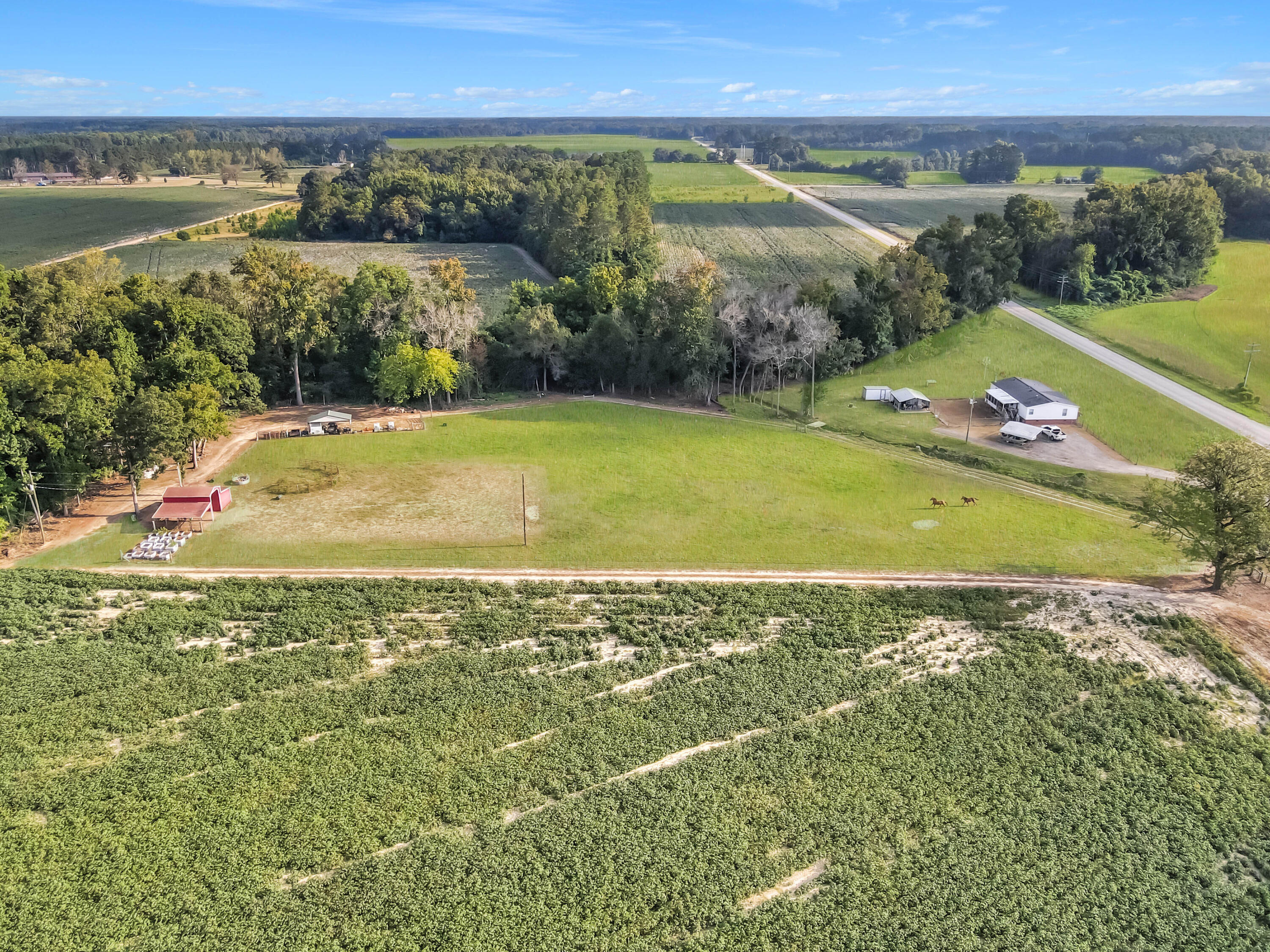 4160 Cleveland Street Elloree, SC 29047 - Photo 41 of 47 Home & Seven Acres
