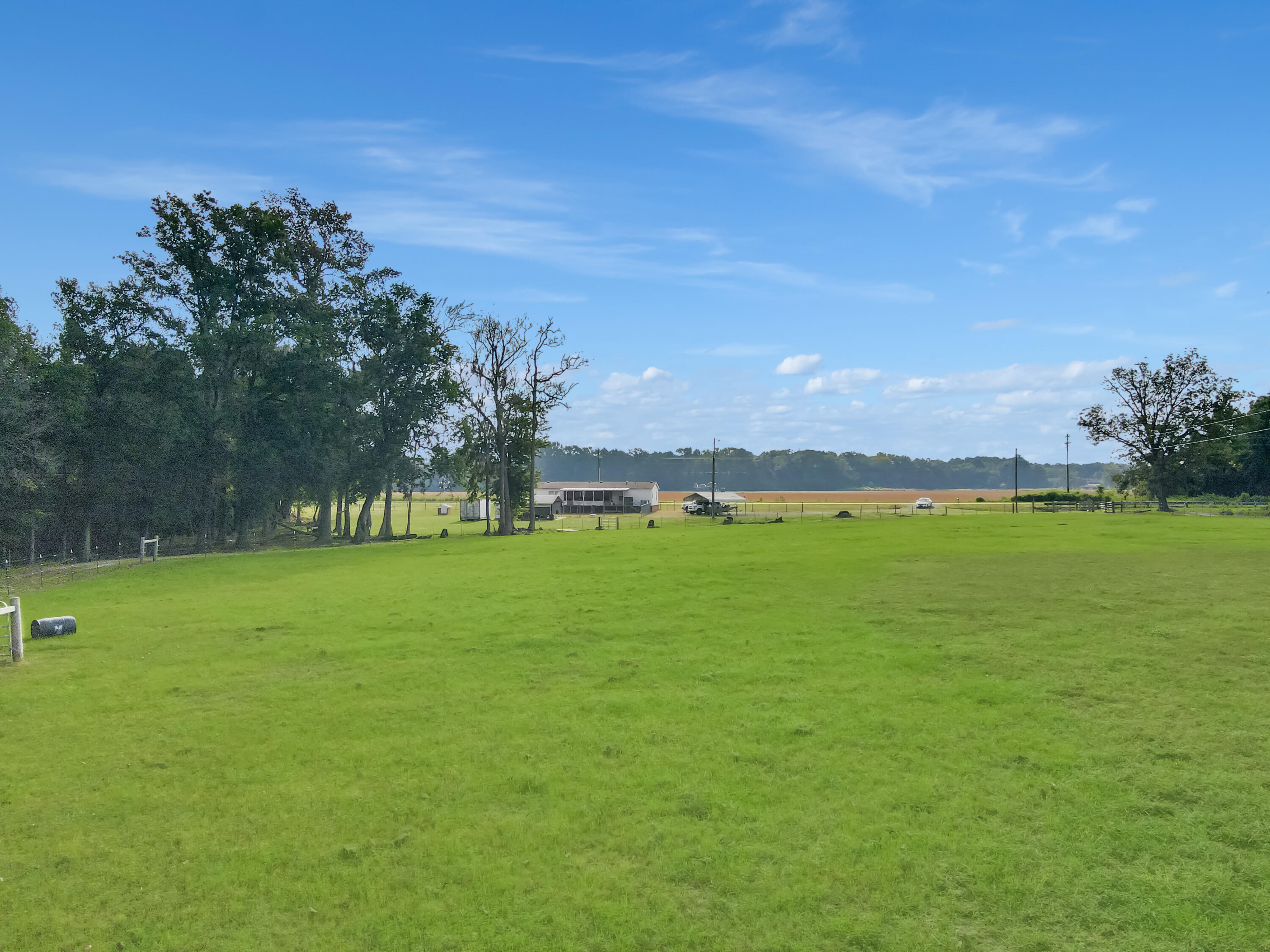 4160 Cleveland Street Elloree, SC 29047 - Photo 42 of 47 Pasture