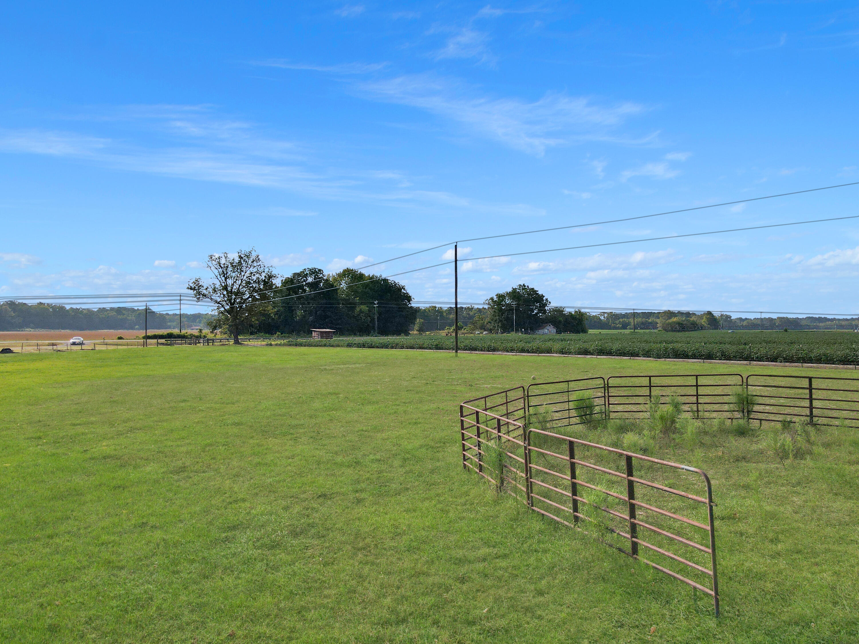 4160 Cleveland Street Elloree, SC 29047 - Photo 43 of 47 Pasture