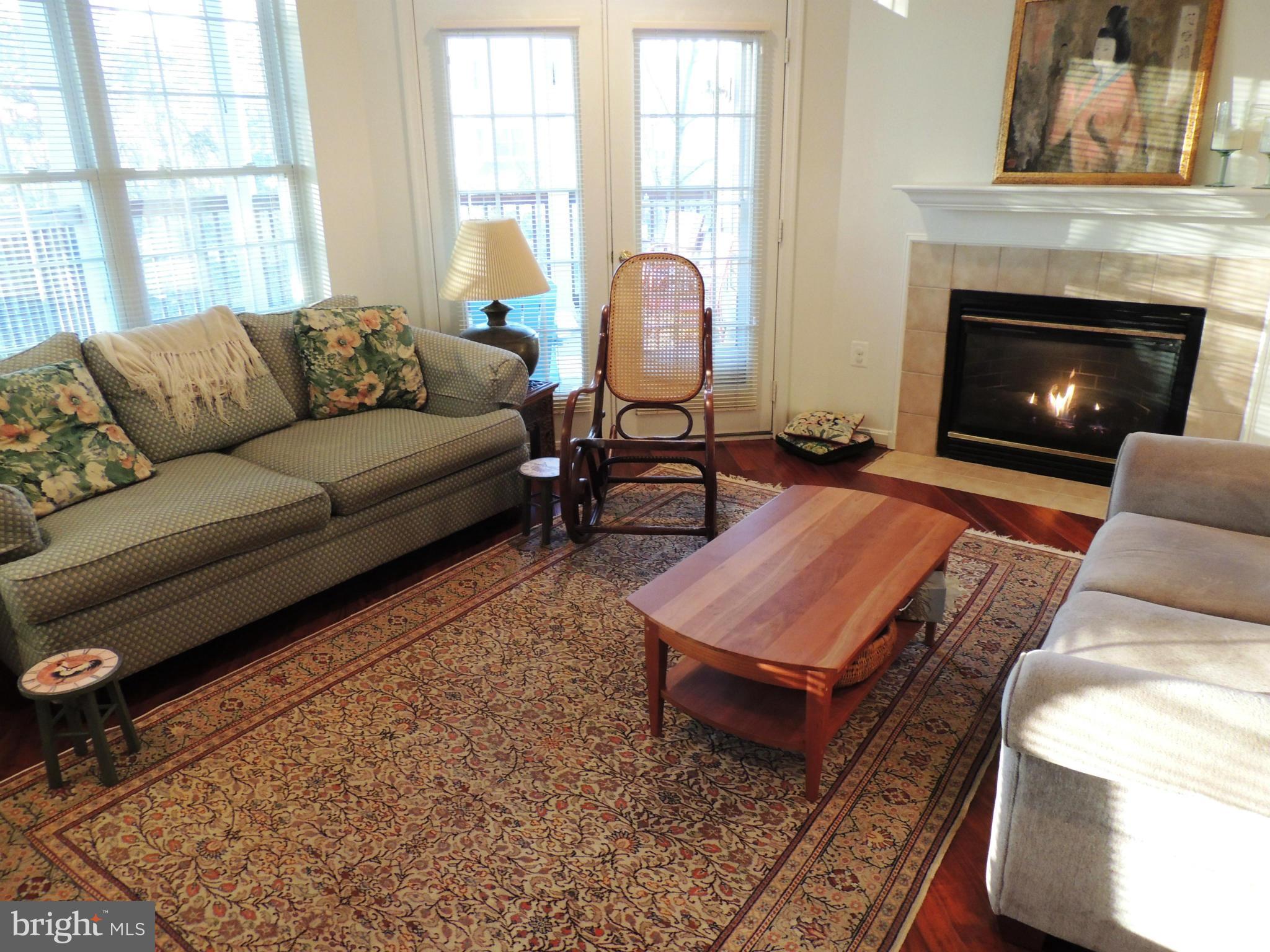 621 Runabout Loop, Unit 621 Solomons, MD 20688 - Photo 2 of 30 Living Room with gas fireplace