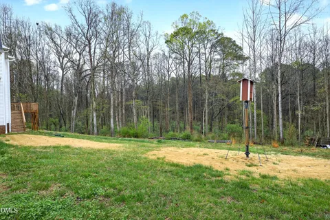 a view of a park with a tree