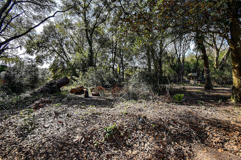 37644 Daughtery Road Zephyrhills, FL 33541 - Photo 15 of 20