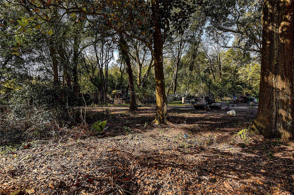 37644 Daughtery Road Zephyrhills, FL 33541 - Photo 17 of 20