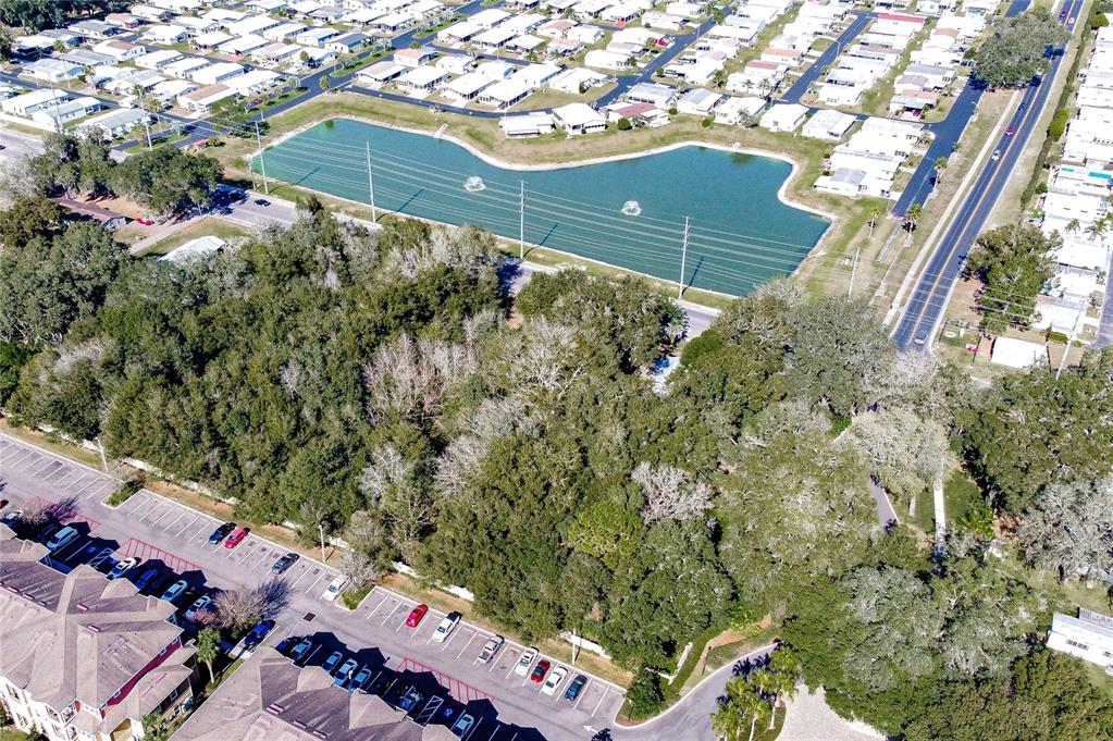 37644 Daughtery Road Zephyrhills, FL 33541 - Photo 4 of 20