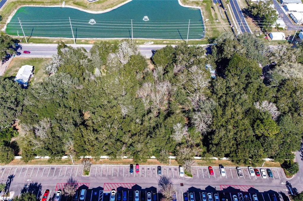 37644 Daughtery Road Zephyrhills, FL 33541 - Photo 6 of 20