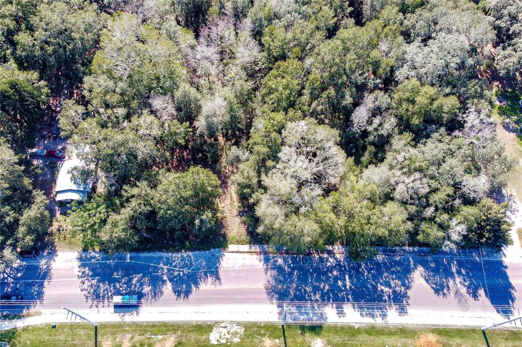 37644 Daughtery Road Zephyrhills, FL 33541 - Photo 7 of 20