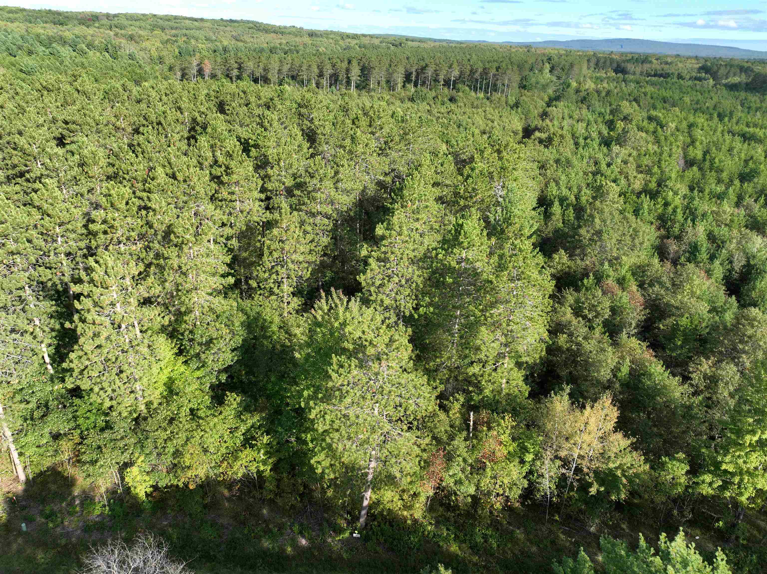 Lot 4 Scout Road Mosinee, WI 54455 - Photo 2 of 9 Gallery Image 2