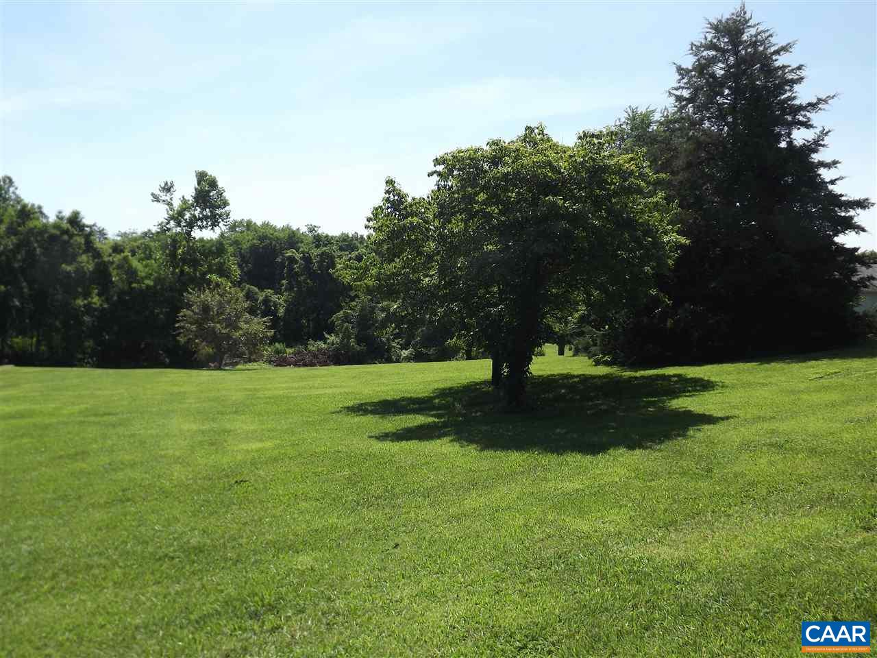 Lot 12 West Daffodil Road Ruckersville, VA 22968 - Photo 2 of 5 a view of a park