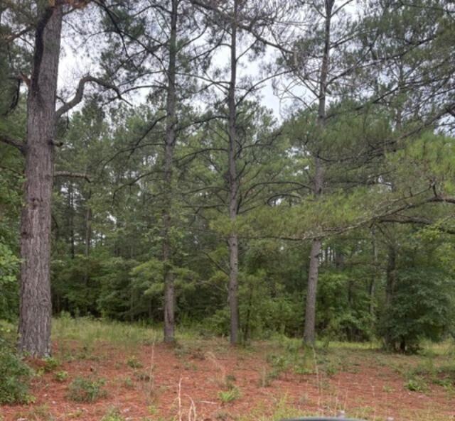 402 State Road Barnwell, SC 29812 - Photo 2 of 5 Gallery Image 2