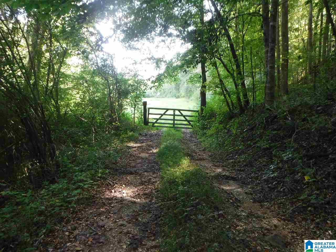 205 Venable Road Odenville, AL 35120 - Photo 6 of 11