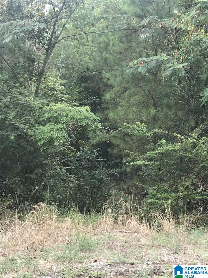 Constellation Avenue, Unit 1 Alpine, AL 35014 - Photo 1 of 1