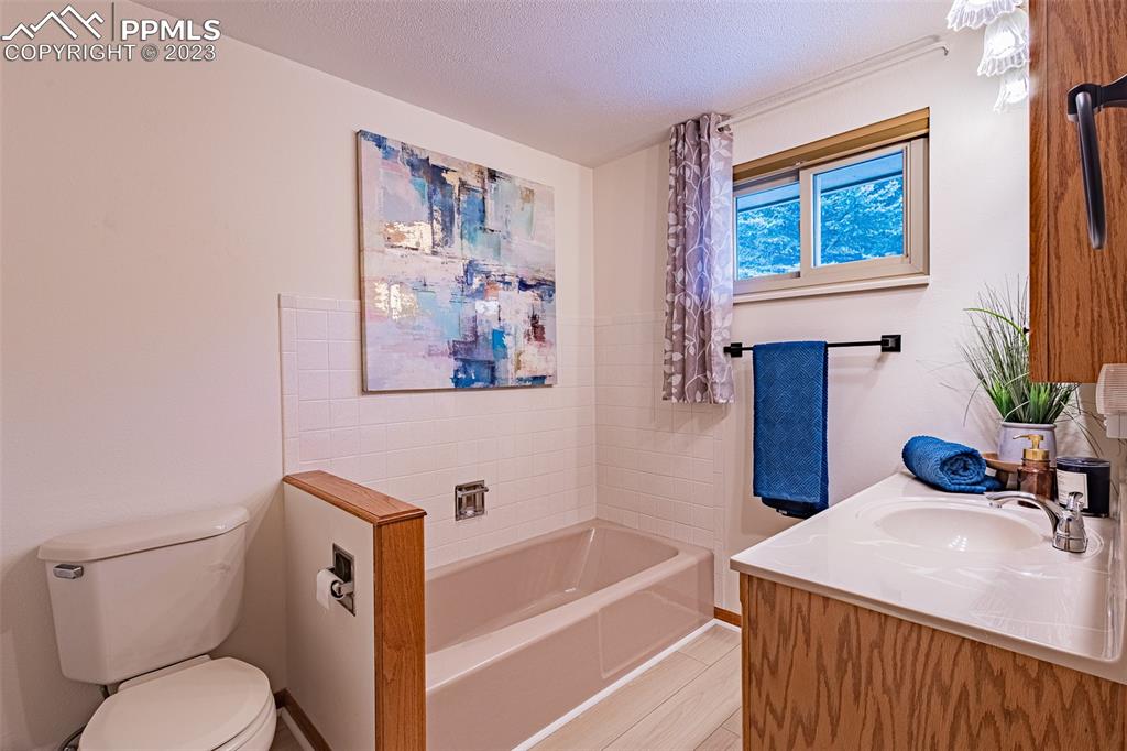 98 Button Rock Road Lyons, CO 80540 - Photo 22 of 49 a bathroom with a sink a toilet and a bathtub