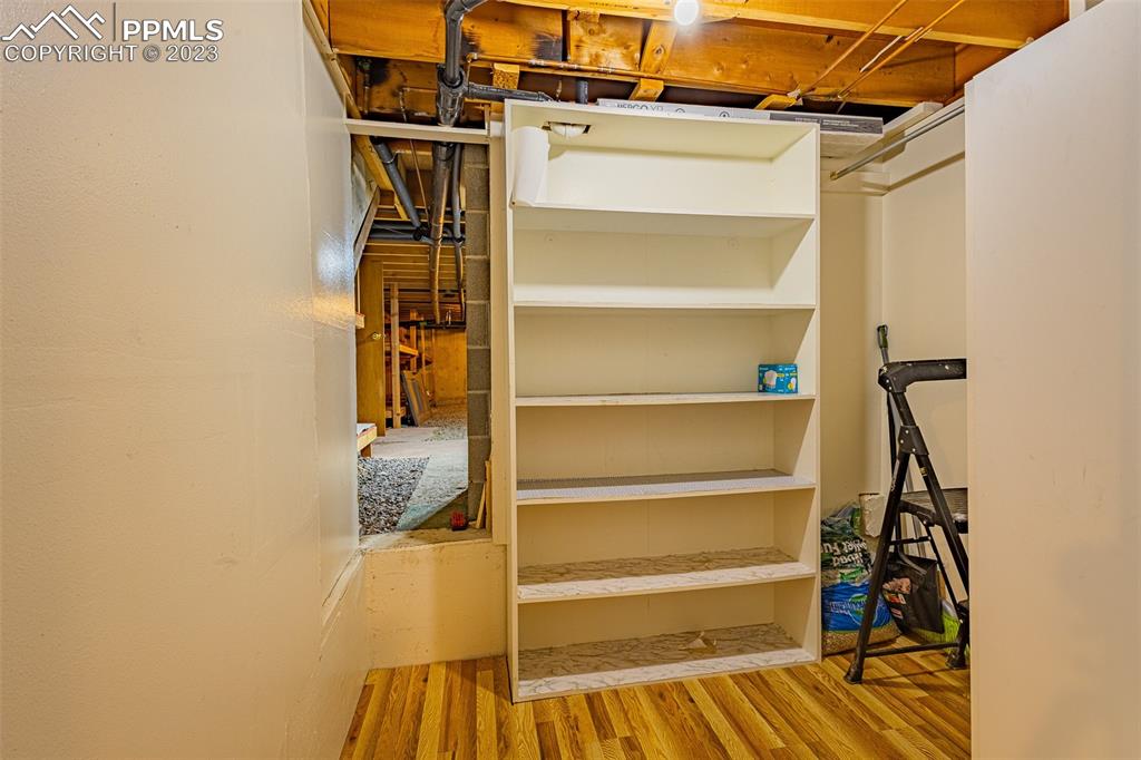 98 Button Rock Road Lyons, CO 80540 - Photo 32 of 49 a view of walk in closet with empty racks