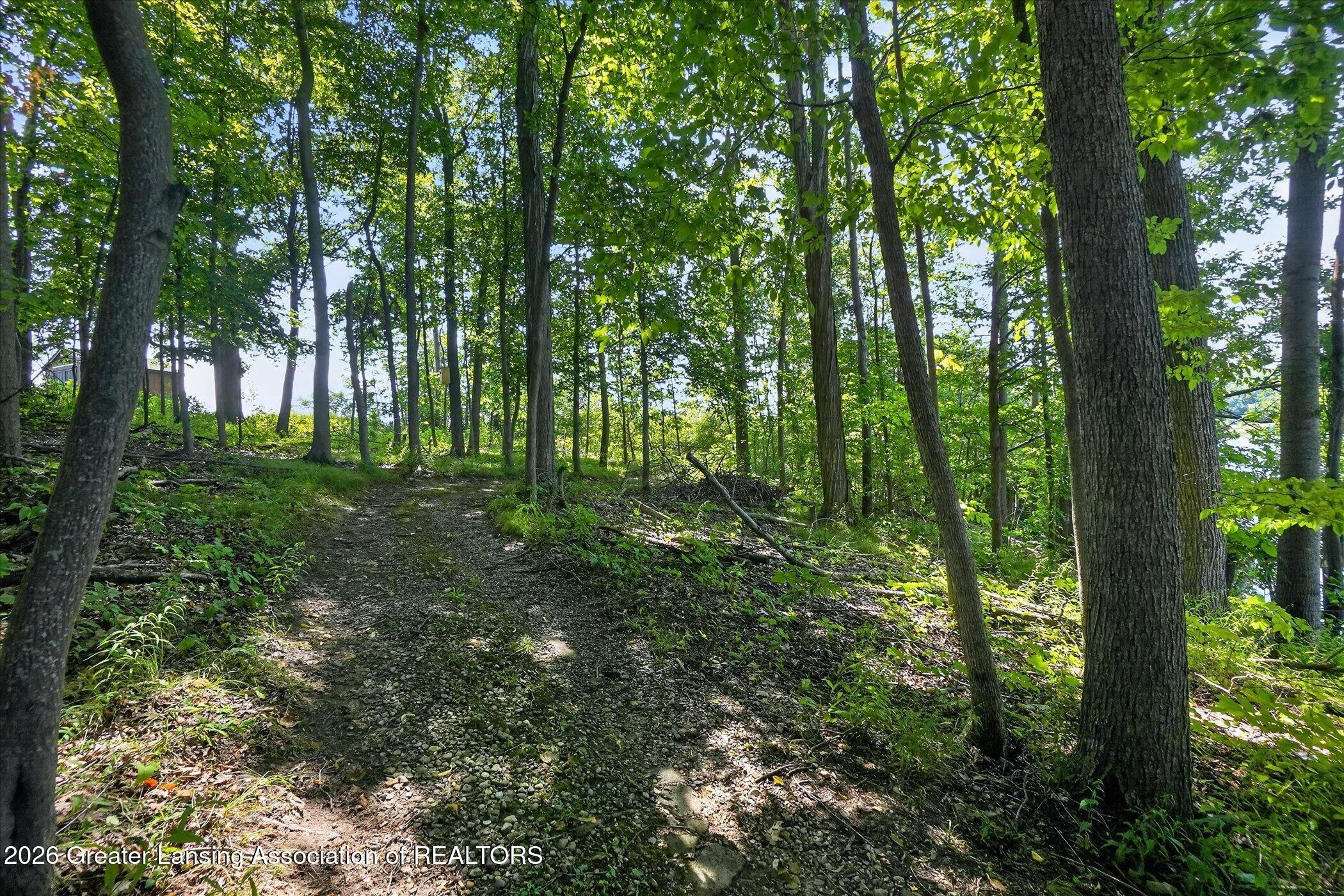 4316 Rainbow Lake Road Perrinton, MI 48871 - Photo 8 of 32 27-Vacant-Lot-Rainbow-Lake-Rd-WindowStil