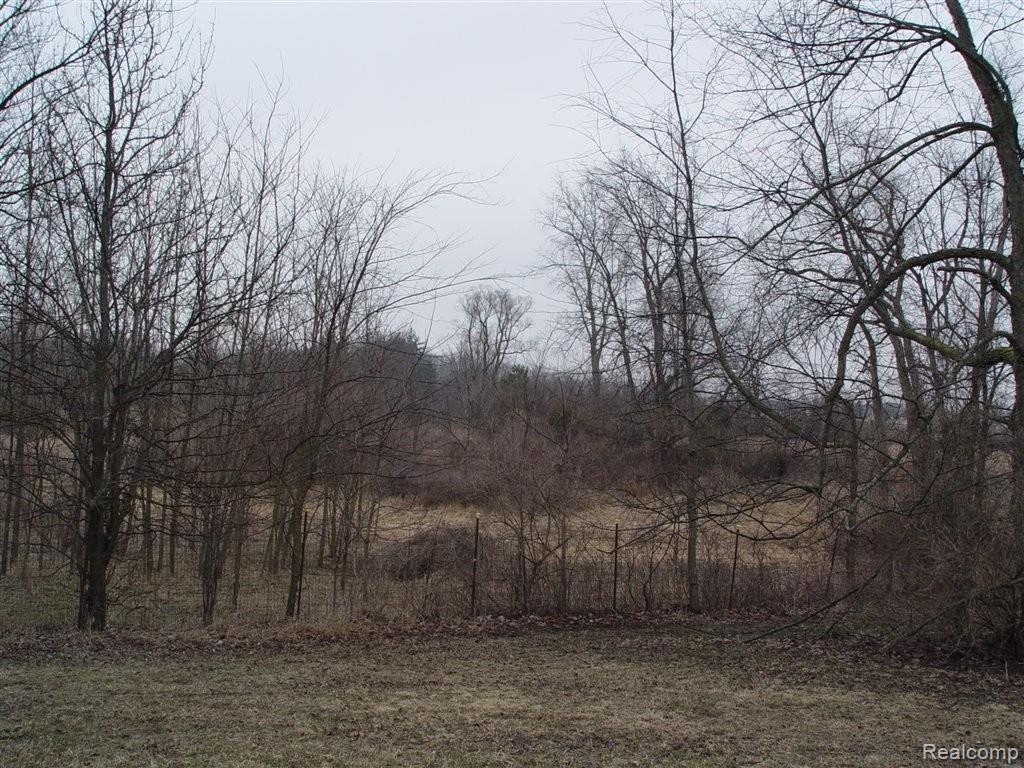 9250 Napier Road Northville, MI 48167 - Photo 4 of 8 Northville Wow 14 acres (8).JPG