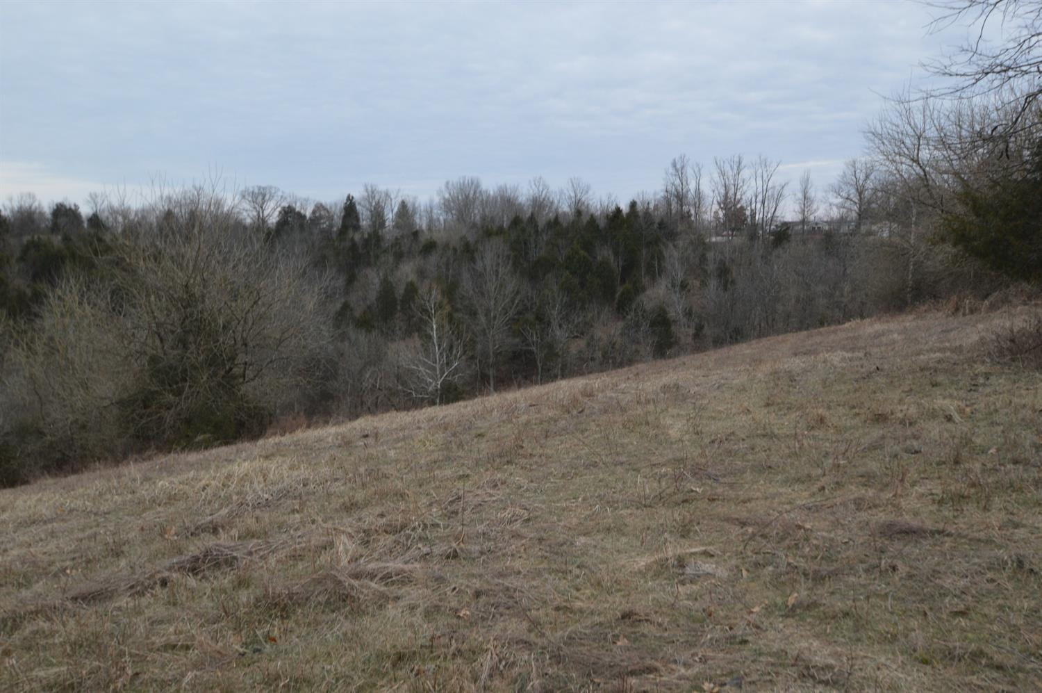 1180 Dennis Road, Unit 8 Lawrenceburg, KY 40342 - Photo 8 of 11 Photo 8