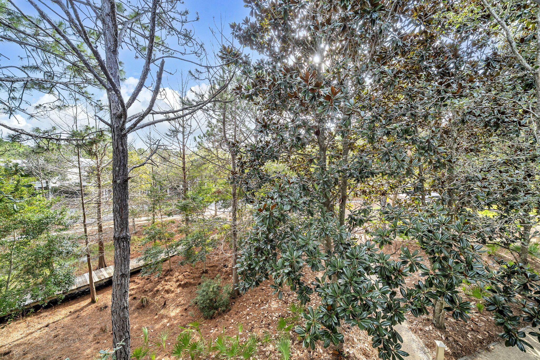 97 East Summersweet Lane Santa Rosa Beach, FL 32459 - Photo 34 of 67 Serene Views