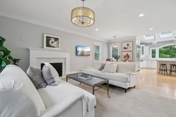 a living room with furniture a fireplace and potted plants