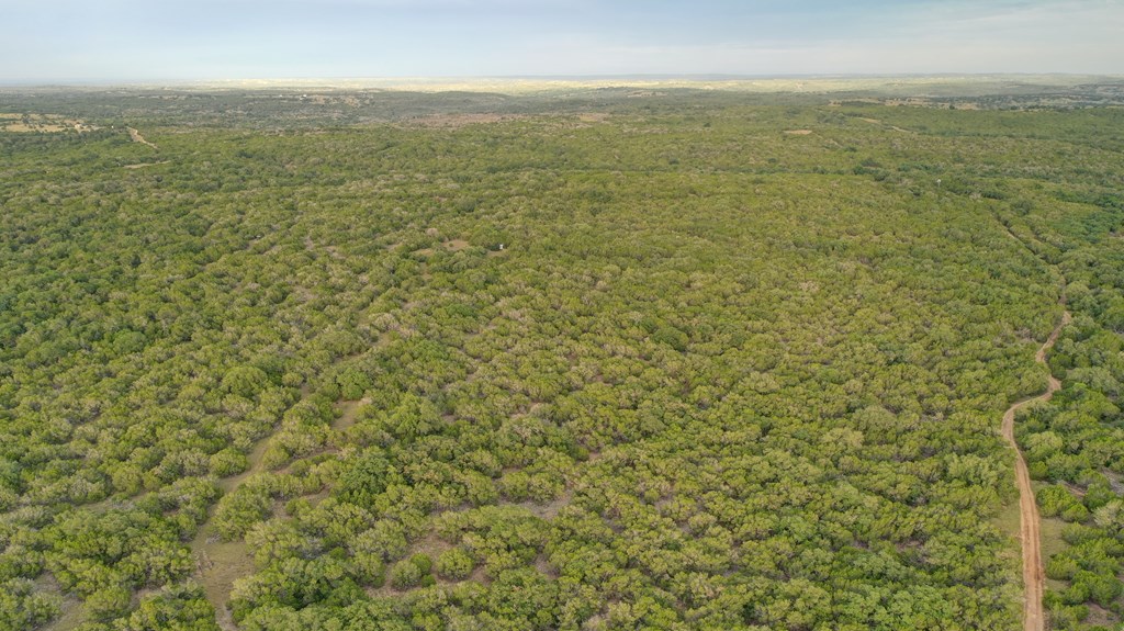 438 Yellowstone Lane Hunt, TX 78024 - Photo 38 of 47