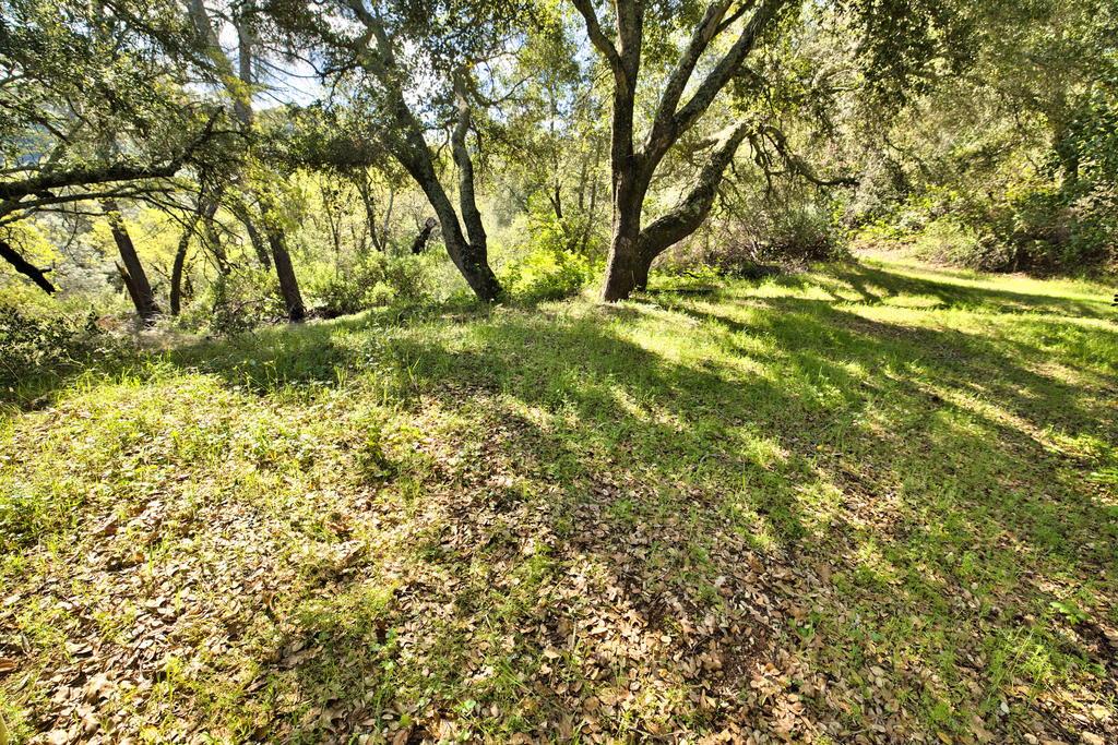 15805 Uvas Road Morgan Hill, CA 95037 - Photo 11 of 41 a backyard of a house with lots of plants and trees