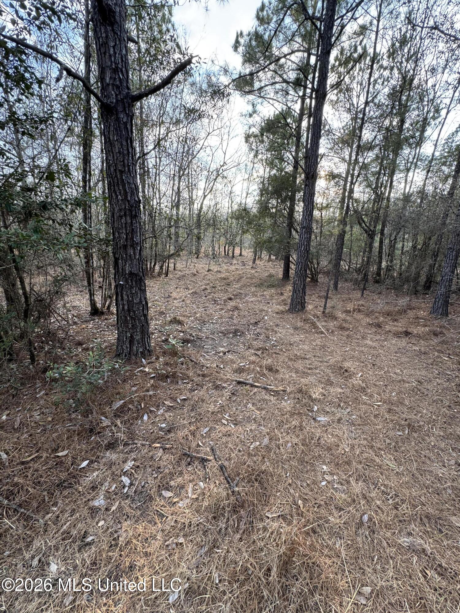42 Mississippi State Line, MS 39362 - Photo 20 of 87 Photo Feb 13 2026, 4 31 41 PM