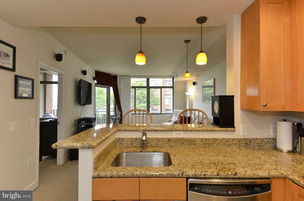 3600 South Glebe Road, Unit 326W Arlington, VA 22202 - Photo 2 of 30 Interior (General)