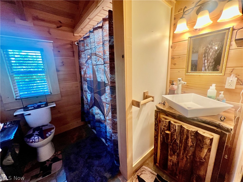 39589 National Road Bethesda, OH 43719 - Photo 13 of 35 Bathroom with vanity with extensive cabinet space, wooden walls, and toilet