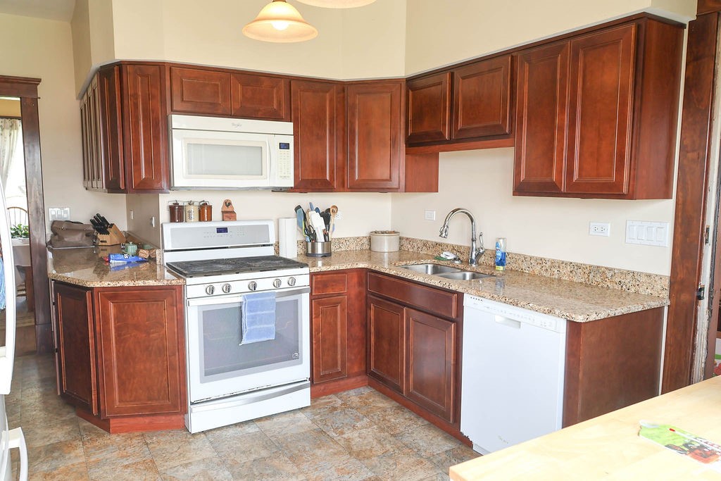 1073 Catlin Homer Road Homer, IL 61849 - Photo 3 of 40