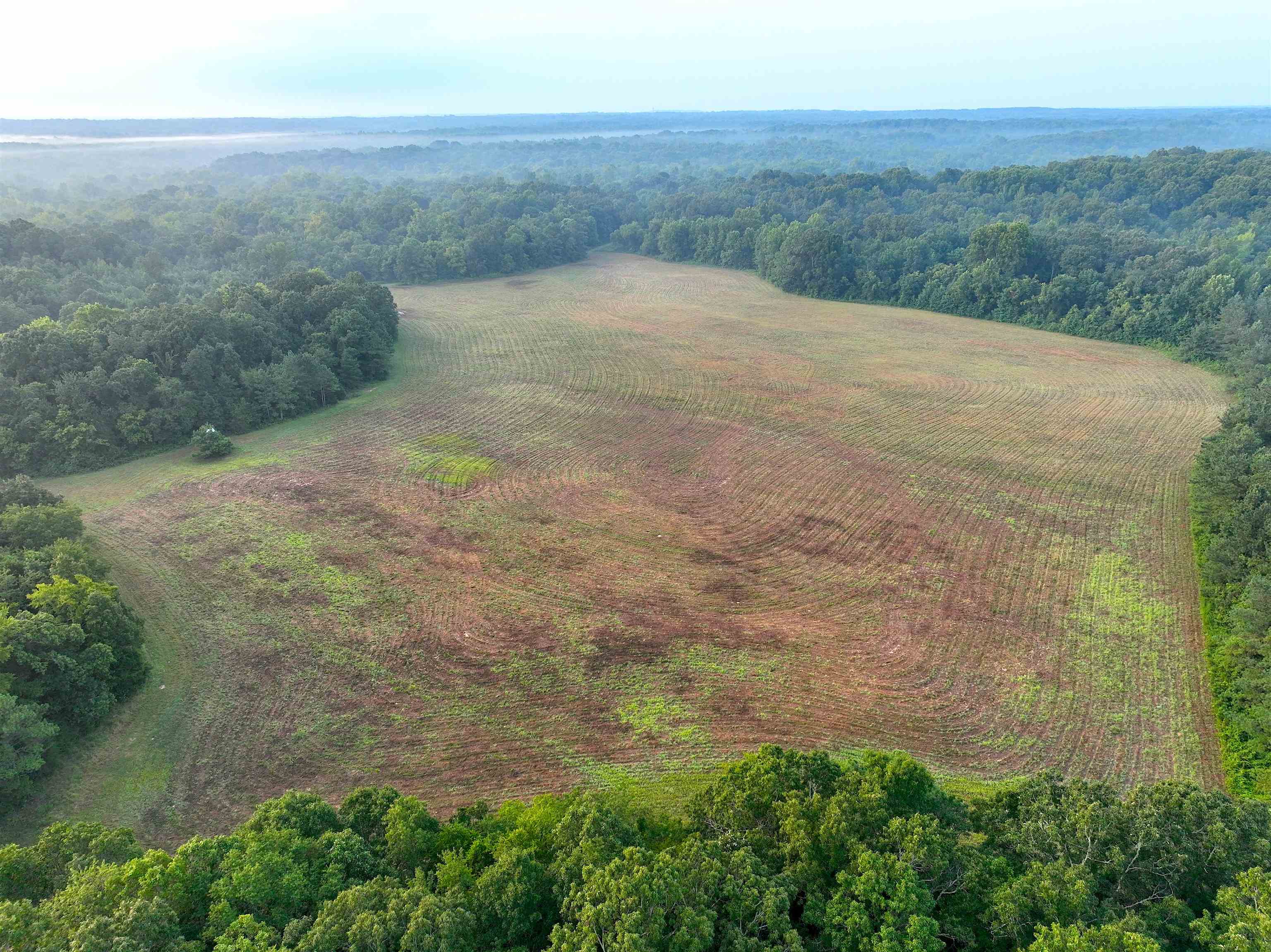 2530 West Fork Road Grand Junction, TN 38039 - Photo 9 of 40 Gallery Image 9