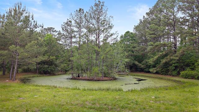 78299 Watts Road Bush, LA 70431 - Photo 10 of 48