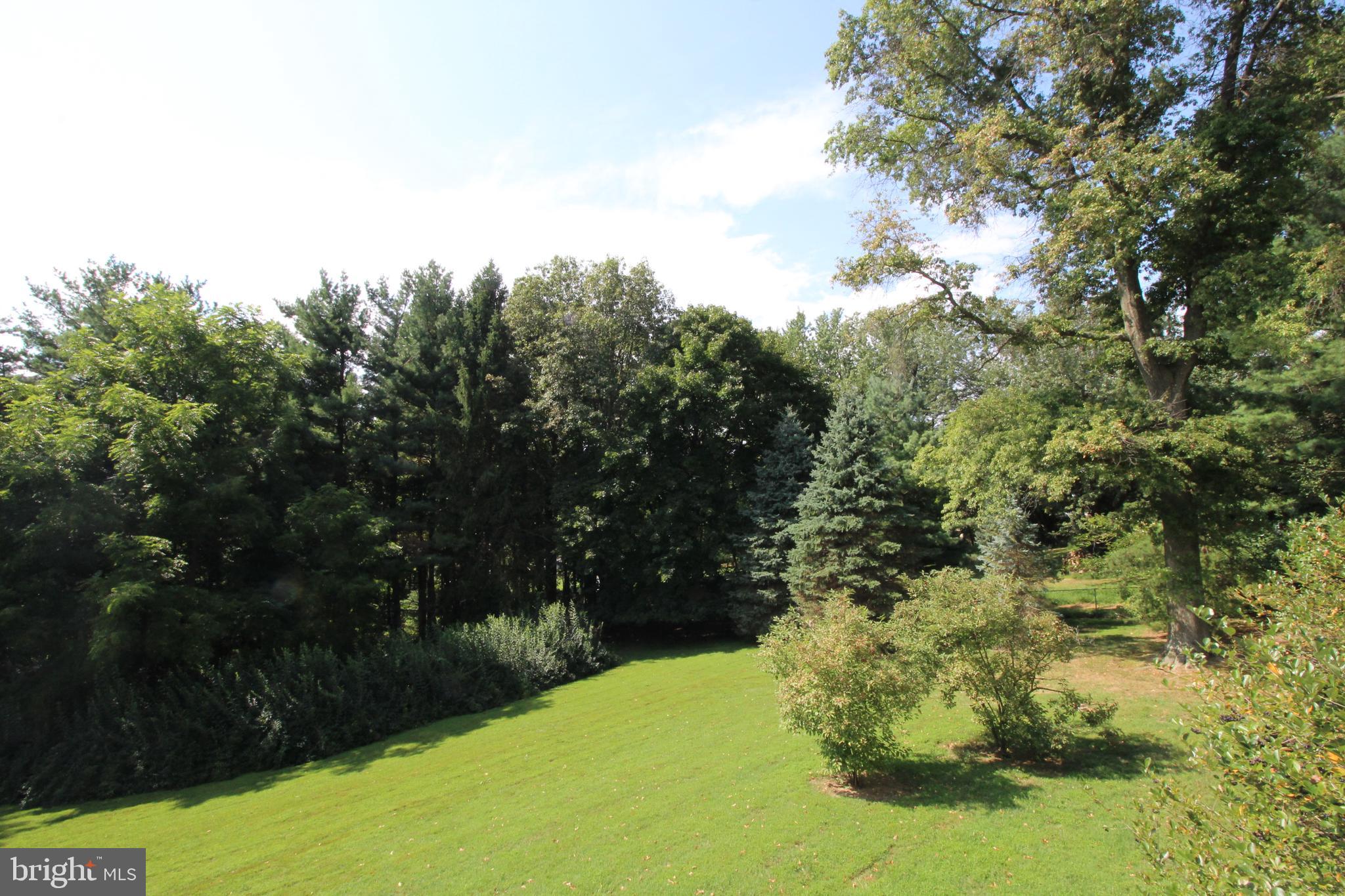 7404 Round Hill Road Frederick, MD 21702 - Photo 29 of 50 Privacy! Privacy! Privacy